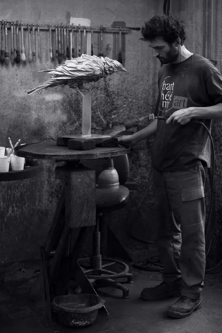 Grand corbeau, work in progress